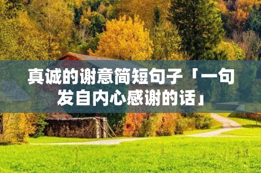 真诚的谢意简短句子「一句发自内心感谢的话」