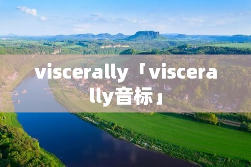 viscerally「viscerally音标」 viscerally「viscerally音标」
