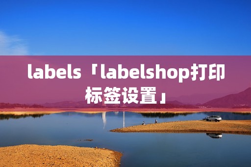 labels「labelshop打印标签设置」