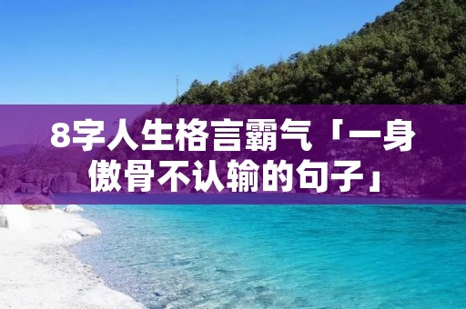 8字人生格言霸气「一身傲骨不认输的句子」