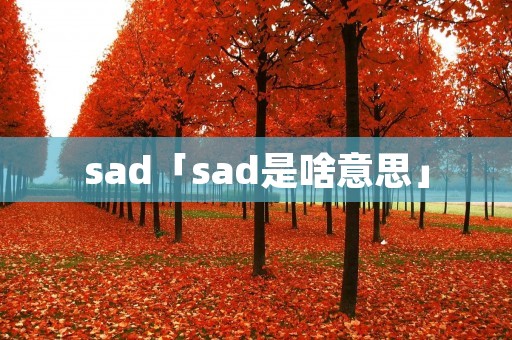 sad「sad是啥意思」