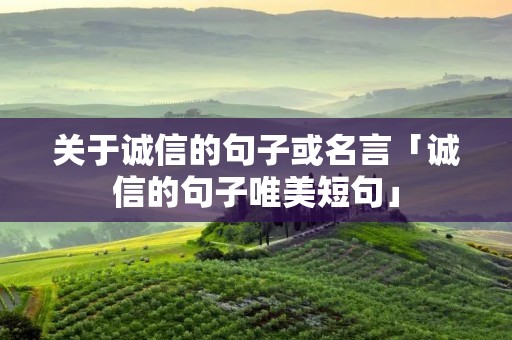 关于诚信的句子或名言「诚信的句子唯美短句」