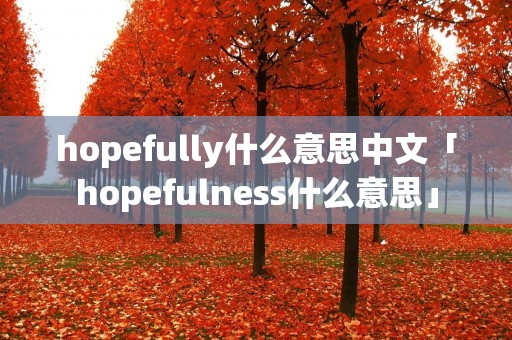 hopefully什么意思中文「hopefulness什么意思」 hopefully什么意思中文「hopefulness什么意思」