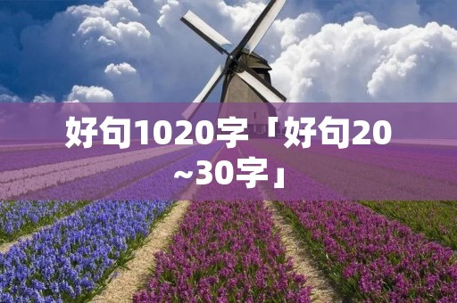 好句1020字「好句20~30字」