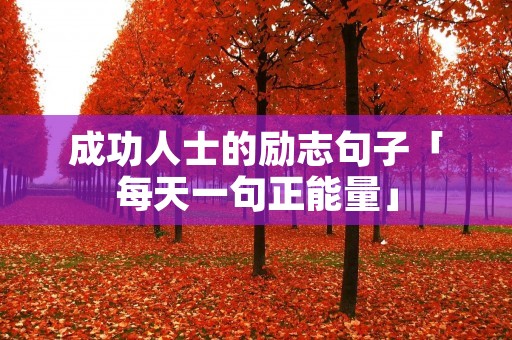 成功人士的励志句子「每天一句正能量」