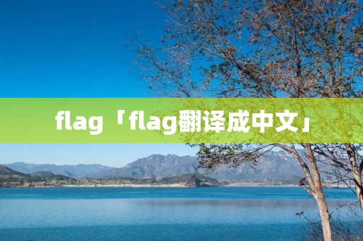 flag「flag翻译成中文」