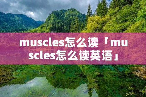 muscles怎么读「muscles怎么读英语」