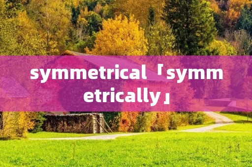 symmetrical「symmetrically」