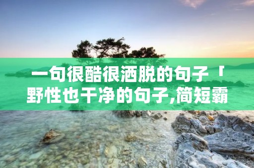 一句很酷很洒脱的句子「野性也干净的句子,简短霸气」