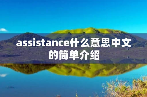 assistance什么意思中文的简单介绍