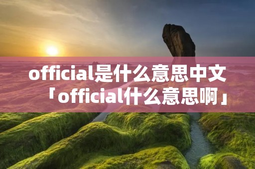official是什么意思中文「official什么意思啊」