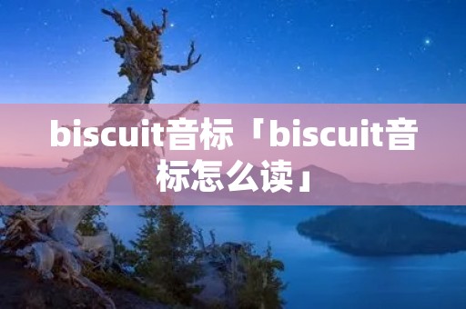 biscuit音标「biscuit音标怎么读」