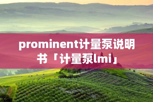 prominent计量泵说明书「计量泵lmi」