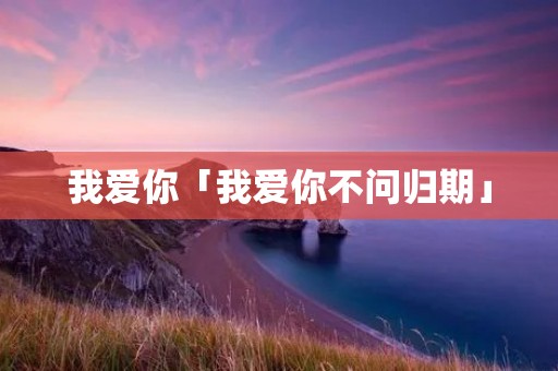 我爱你「我爱你不问归期」