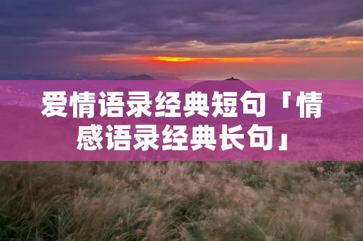 爱情语录经典短句「情感语录经典长句」