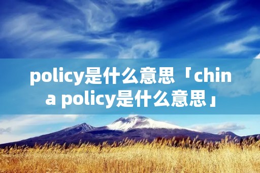 policy是什么意思「china policy是什么意思」