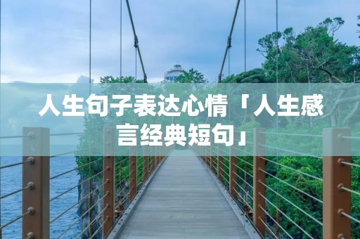 人生句子表达心情「人生感言经典短句」