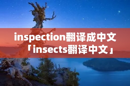 inspection翻译成中文「insects翻译中文」