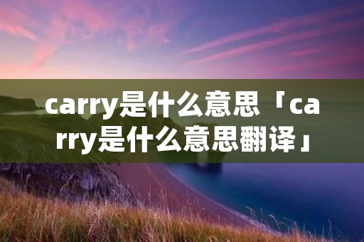 carry是什么意思「carry是什么意思翻译」