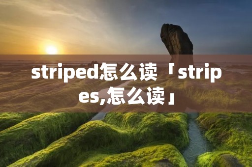 striped怎么读「stripes,怎么读」 striped怎么读「stripes,怎么读」