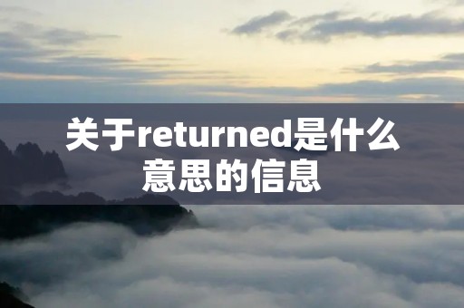 关于returned是什么意思的信息