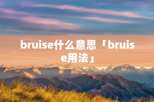bruise什么意思「bruise用法」 bruise什么意思「bruise用法」