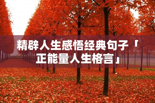 精辟人生感悟经典句子「正能量人生格言」