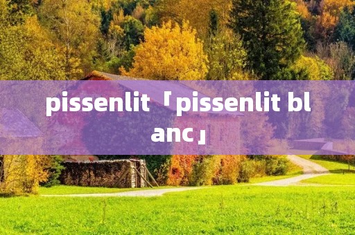 pissenlit「pissenlit blanc」