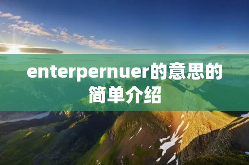 enterpernuer的意思的简单介绍