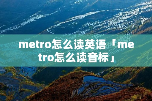 metro怎么读英语「metro怎么读音标」