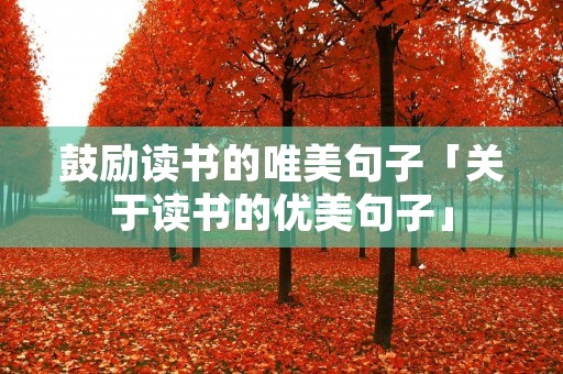 鼓励读书的唯美句子「关于读书的优美句子」