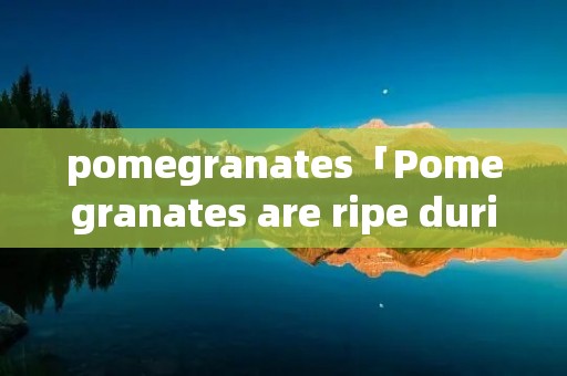 pomegranates「Pomegranates are ripe during」