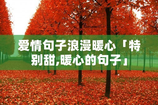 爱情句子浪漫暖心「特别甜,暖心的句子」