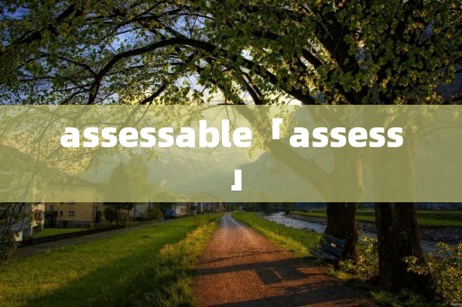 assessable「assess」