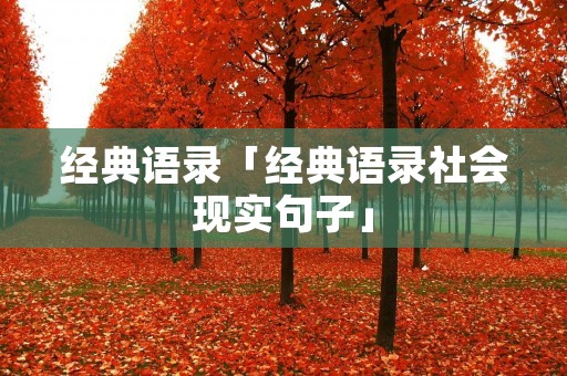经典语录「经典语录社会现实句子」