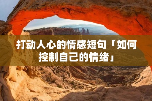 打动人心的情感短句「如何控制自己的情绪」
