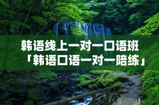 韩语线上一对一口语班「韩语口语一对一陪练」 韩语线上一对一口语班「韩语口语一对一陪练」