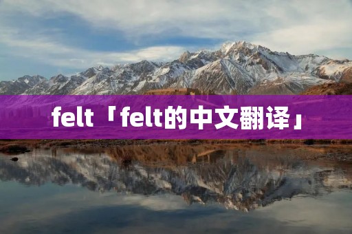 felt「felt的中文翻译」