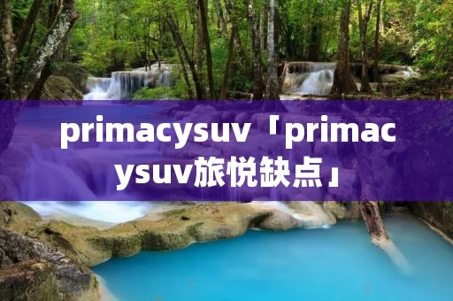 primacysuv「primacysuv旅悦缺点」