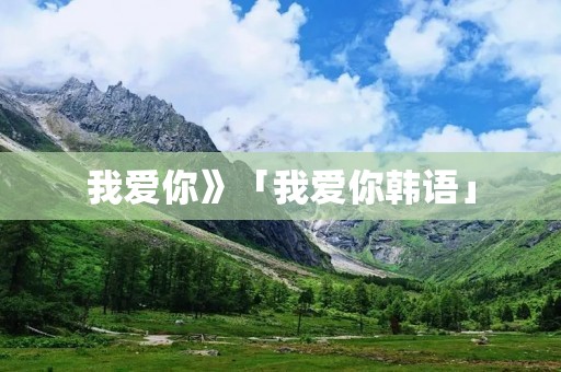 我爱你》「我爱你韩语」