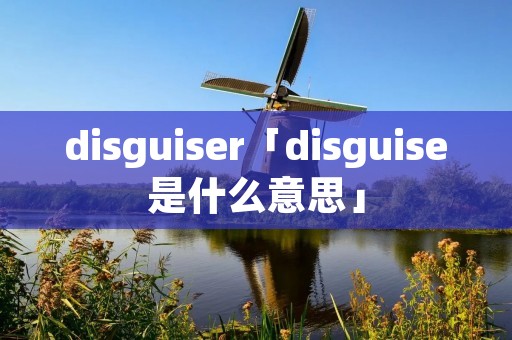 disguiser「disguise是什么意思」