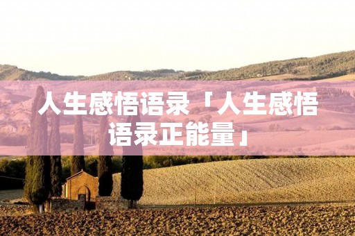 人生感悟语录「人生感悟语录正能量」