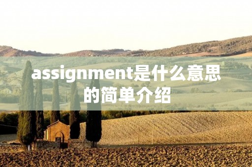 assignment是什么意思的简单介绍