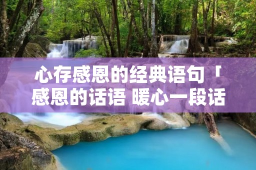 心存感恩的经典语句「感恩的话语 暖心一段话」