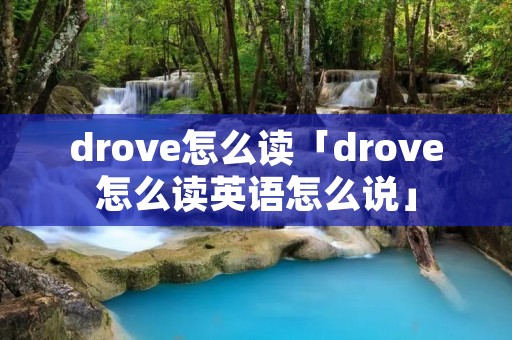 drove怎么读「drove怎么读英语怎么说」