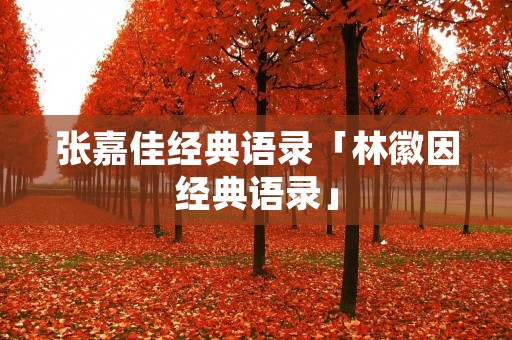 张嘉佳经典语录「林徽因经典语录」