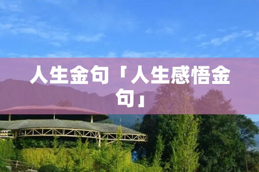 人生金句「人生感悟金句」