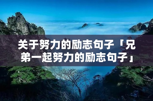 关于努力的励志句子「兄弟一起努力的励志句子」
