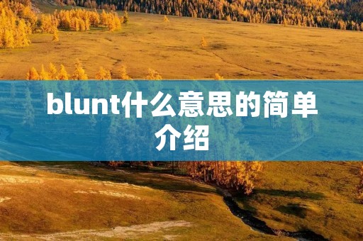 blunt什么意思的简单介绍