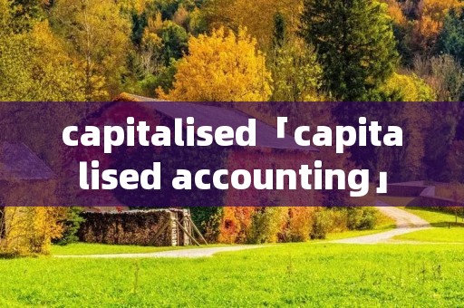 capitalised「capitalised accounting」